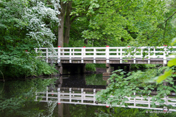 Brug 523, Amsterdamse Bos