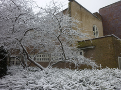 De Merel en De Scheepskameel (vm), Amsterdam