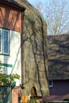 Detail gevel.
<br/>
Boven het venster siermetselwerk in reliëf., 2024