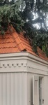 Detail.
<br/>
Joop de Haan, 2022