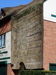 De rieten kap is tot vlak boven de voordeur doorgetrokken en voorzien van een rondbogige luifel.
<br/>
Gert-Jan Lobbes, 2024