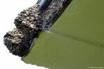 Detail overkapping portiek.
<br/>
Gert-Jan Lobbes, 2022