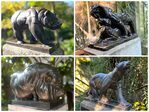 Vier beelden in Artis.
<br/>
Marcel Westhoff, 2024