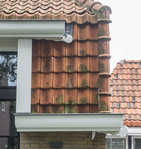 Dakranden met ornamenten.
<br/>
Marcel Westhoff, september 2021